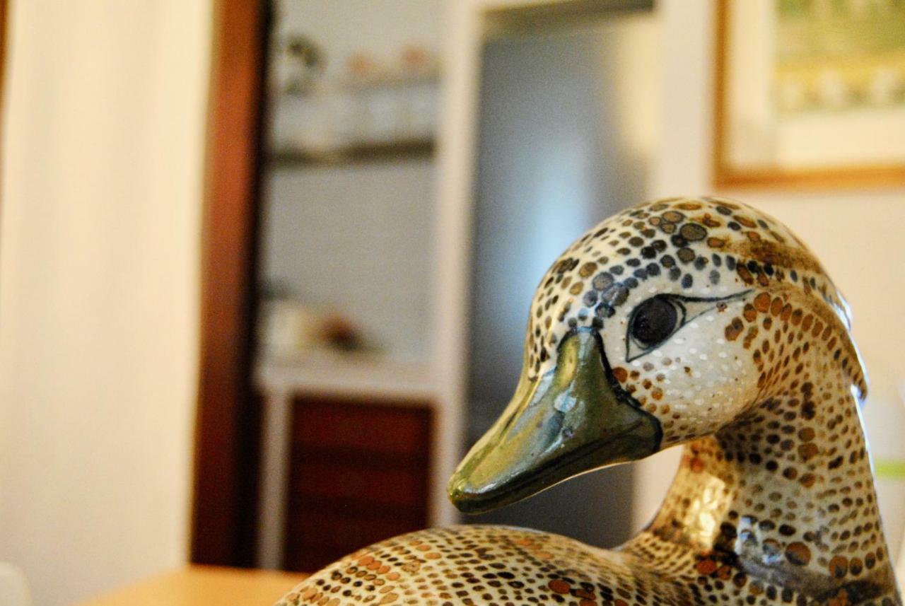 ローマFamiglia Poggi, The Flying Hippoアパートメント エクステリア 写真